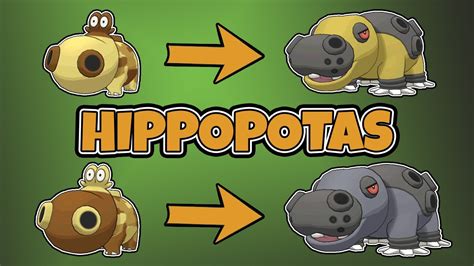 evolve hippopotas
